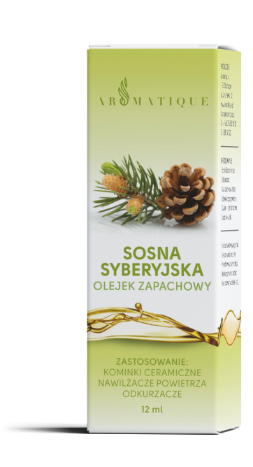 Sosna syberyjska