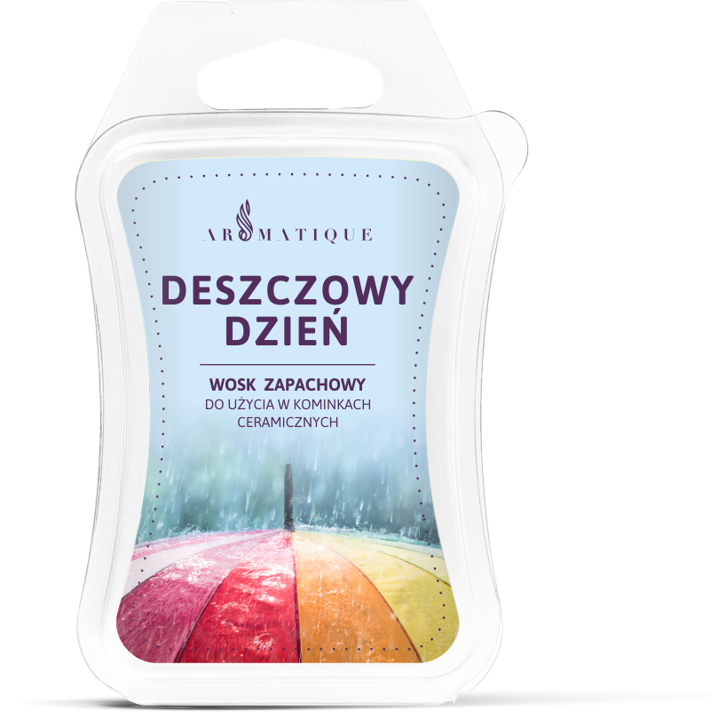 Deszczowy dzień